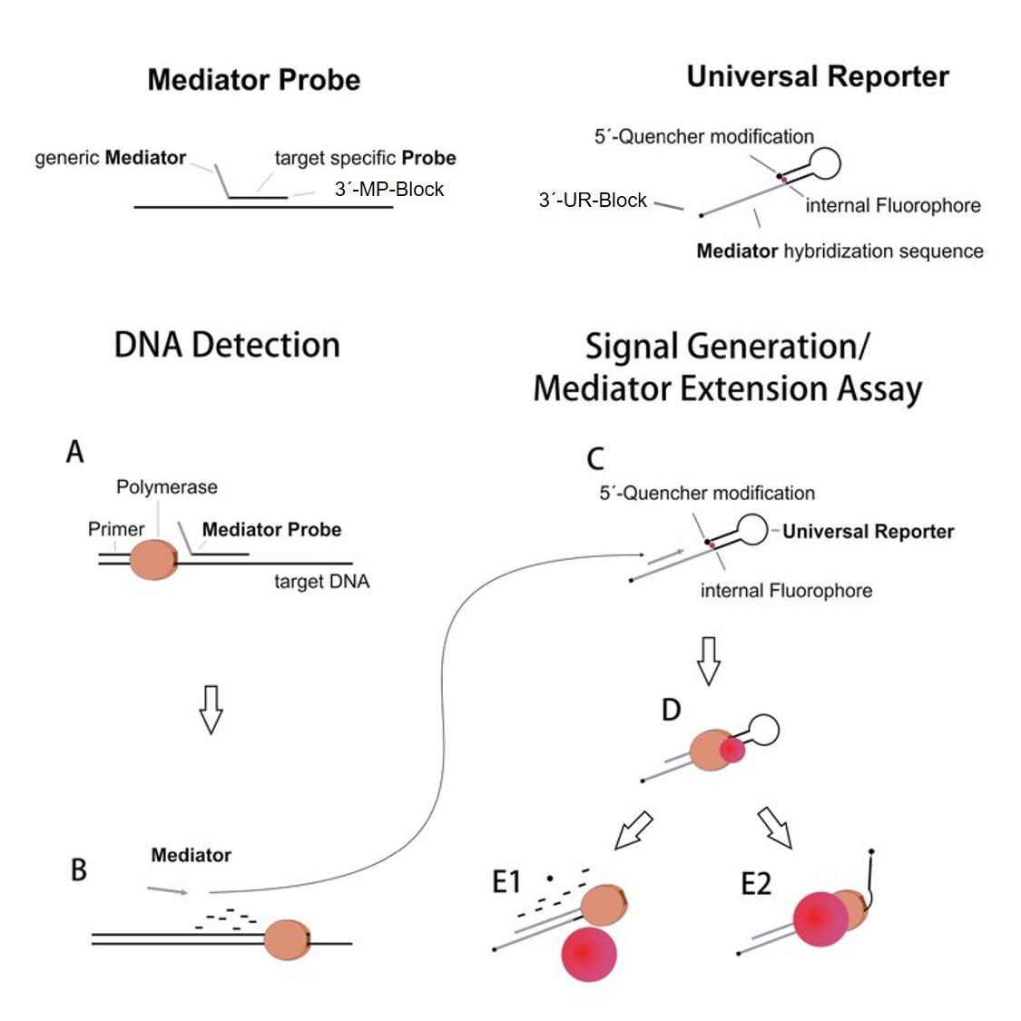 Mediator Probe Pcr Institut Fur Mikrosystemtechnik Imtek