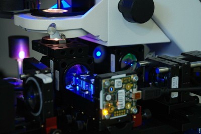 macrophages_PFMsetup