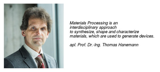 apl. Prof. Dr.-Ing. Thomas Hanemann