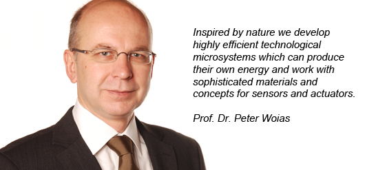 Prof. Dr. Peter Woias