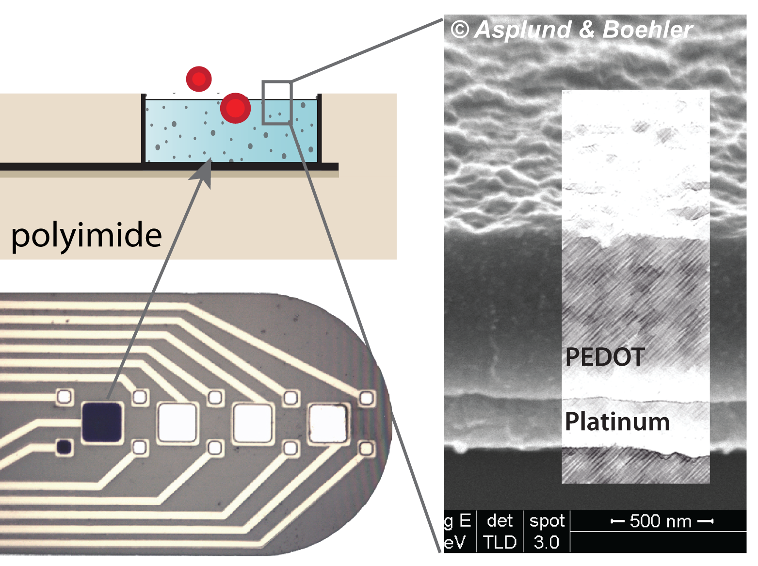 https://www.imtek.de/nachwuchsgruppen/asplund/bioepic_proj/pedot3dprobe