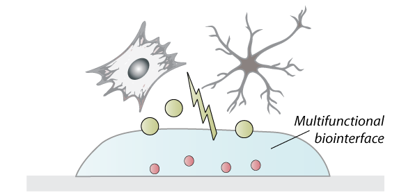 biofunctional materials-01.png