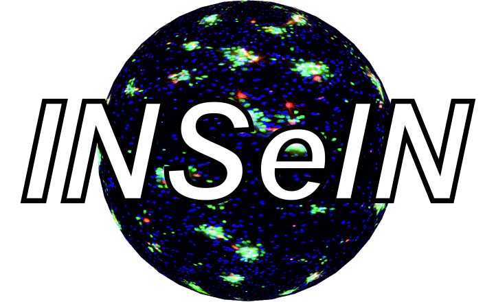 Logo_INSelN_pix.png
