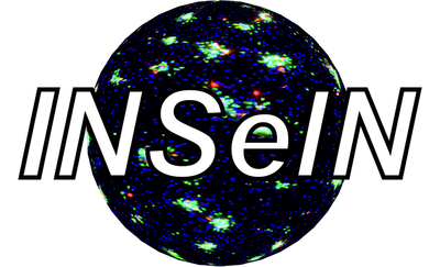 Logo_INSelN_pix.png