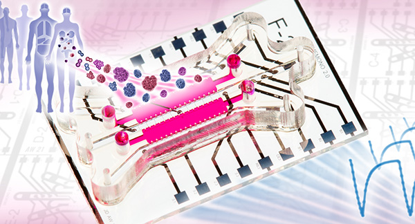 Organ-on-Chip_Weltin_IMTEK-EMES.jpg